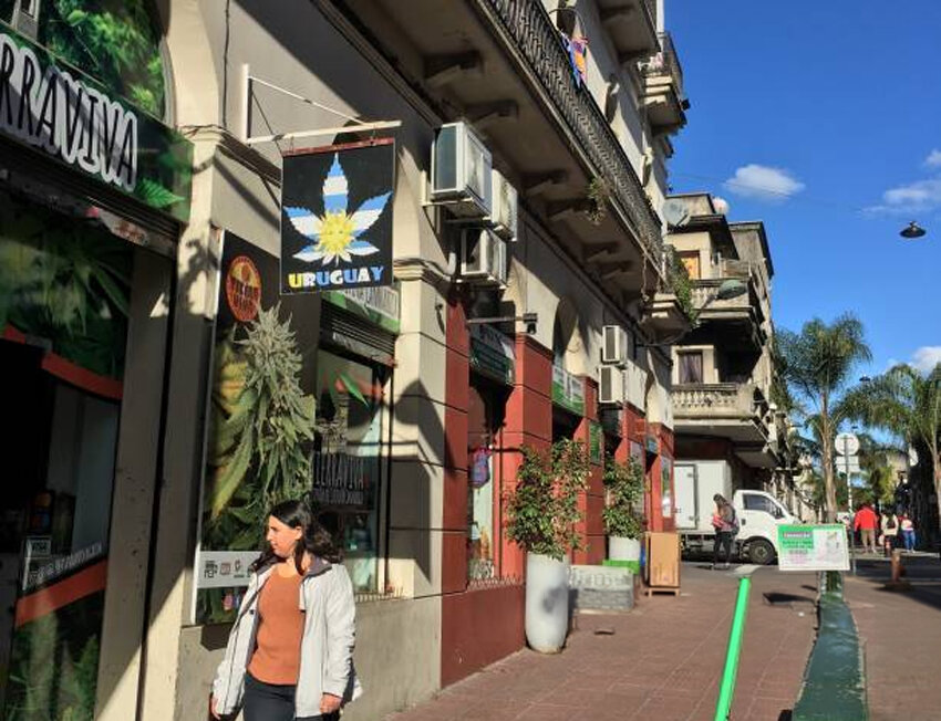 Loja de produtos de cannabis no Uruguai