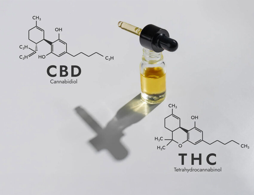 Para que serve o óleo da maconha? Veja funções e benefícios
