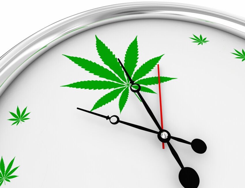 Quanto tempo a cannabis fica no sangue? Descubra e entenda!
